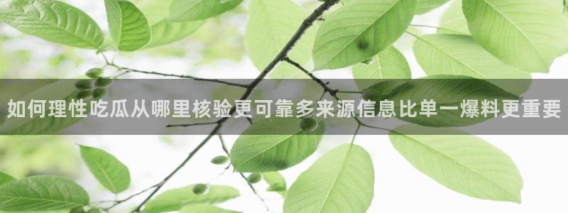 911吃瓜最新内容：如何理性吃瓜从哪里核验更可靠多来源信息比单一爆料更重要