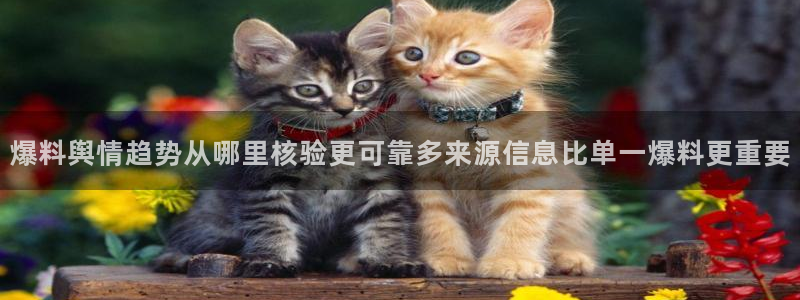 热门事件榜:爆料舆情趋势从哪里核验更可靠多来源信息比单一爆料更重要