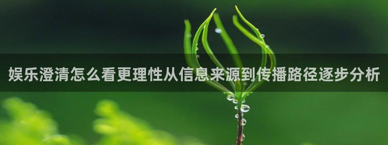 吃瓜事件大全：娱乐澄清怎么看更理性从信息来源到传播路径逐步分析