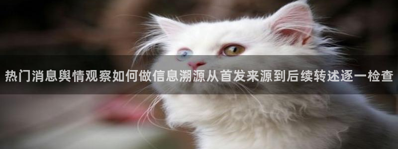 911吃瓜入口大全：热门消息舆情观察如何做信息溯源从首发来源到后续转述逐一检查